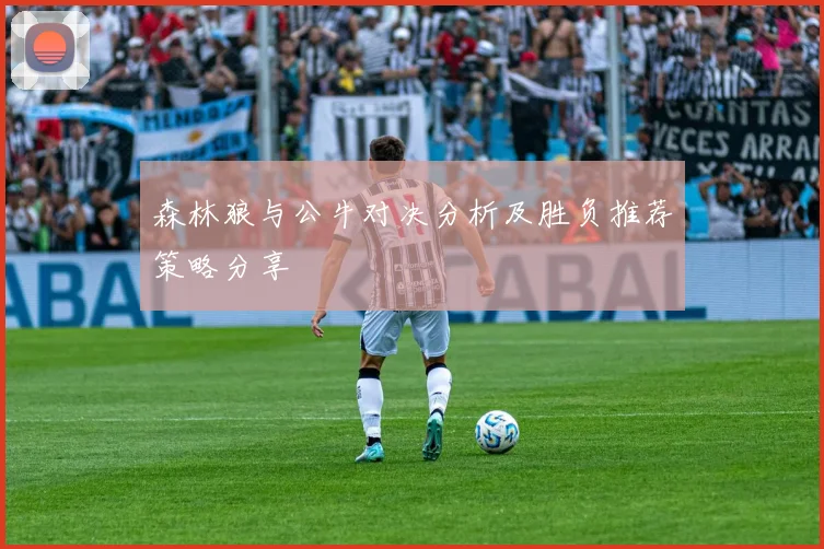 森林狼与公牛对决分析及胜负推荐策略分享