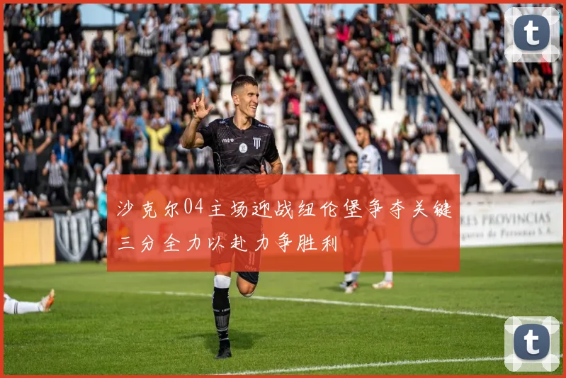 沙克尔04主场迎战纽伦堡争夺关键三分全力以赴力争胜利
