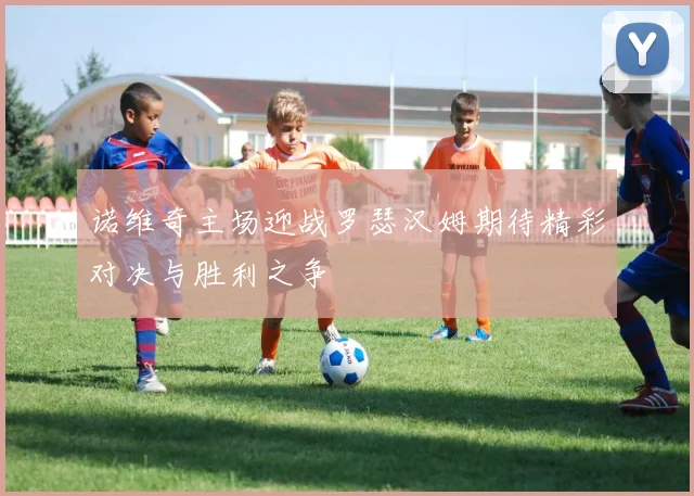 诺维奇主场迎战罗瑟汉姆期待精彩对决与胜利之争