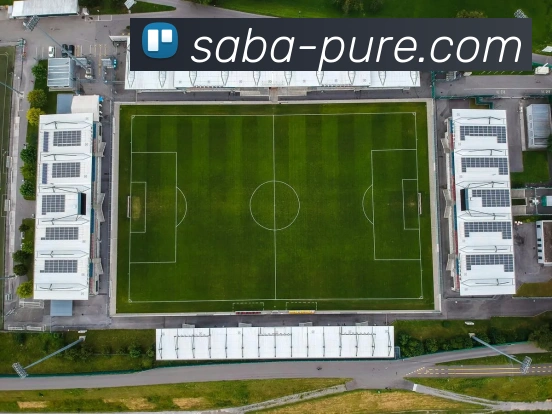 多媒体互动体验